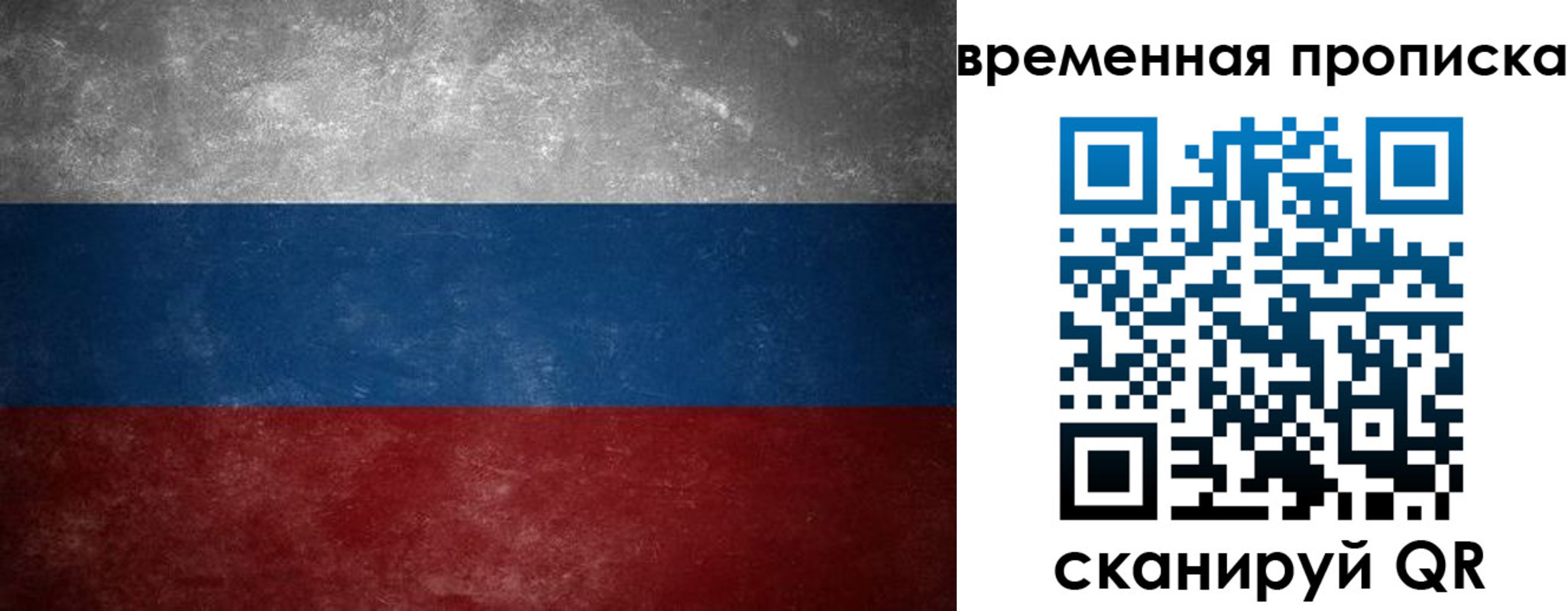 временная регистрация поиск в Королёве
